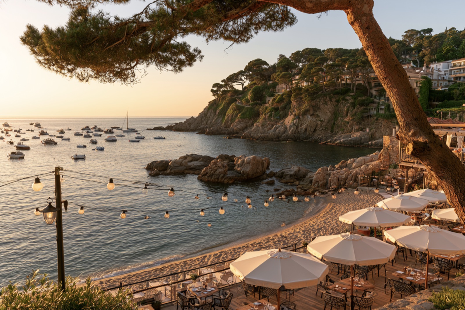 The cove at dusk